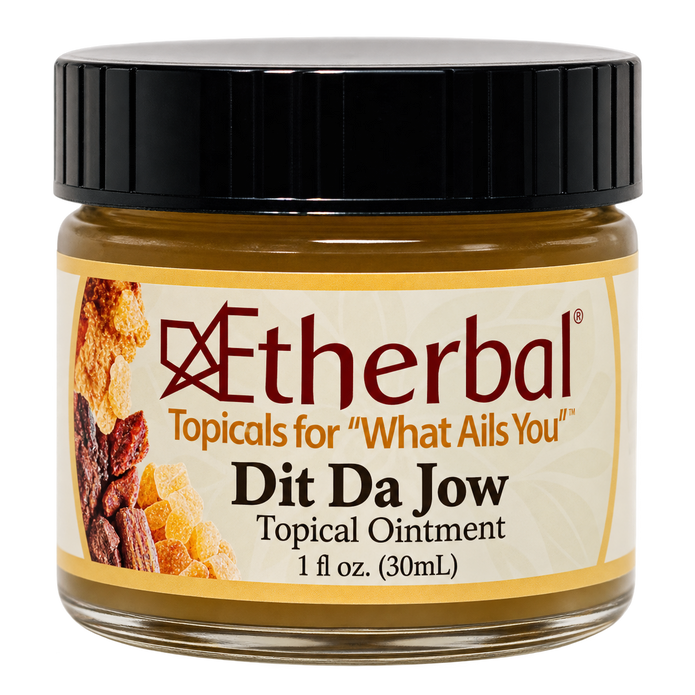 Silica Dit Da Jow - Impact, Injury & Physical Recovery