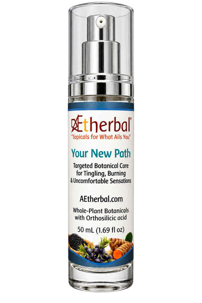 Your New Path – Quiet the Static. Find Your Ease.